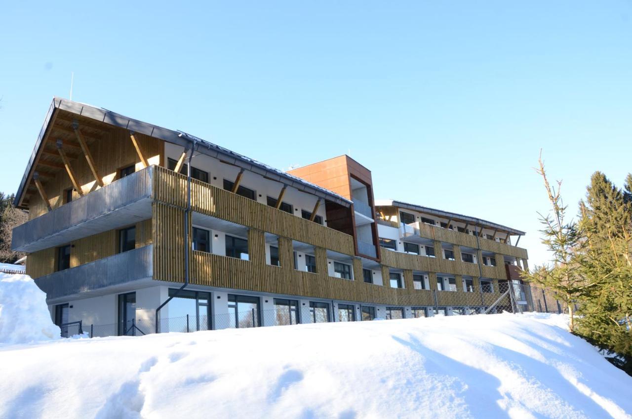 Appartement Sumavsky Apartman - Novy Komfortni A Prostorny, Se Zahradou à Stachy Extérieur photo